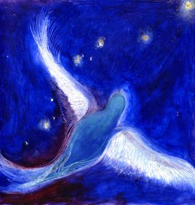Star Bird, 2012
